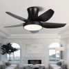 42 Inch Ceiling Fan with LED Lights(Black)