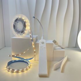 Led Human Body Induction Light With Bed Bottom Atmosphere (Option: Waterproof Light Strip 3 M-Warm White Charging)